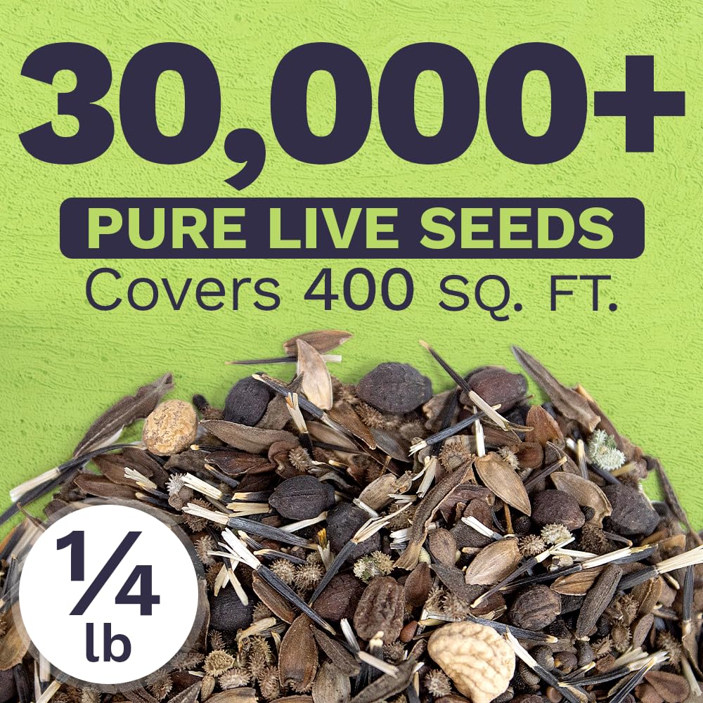 Back of SWEET YARDS wildflower seeds pouch with planting instructions