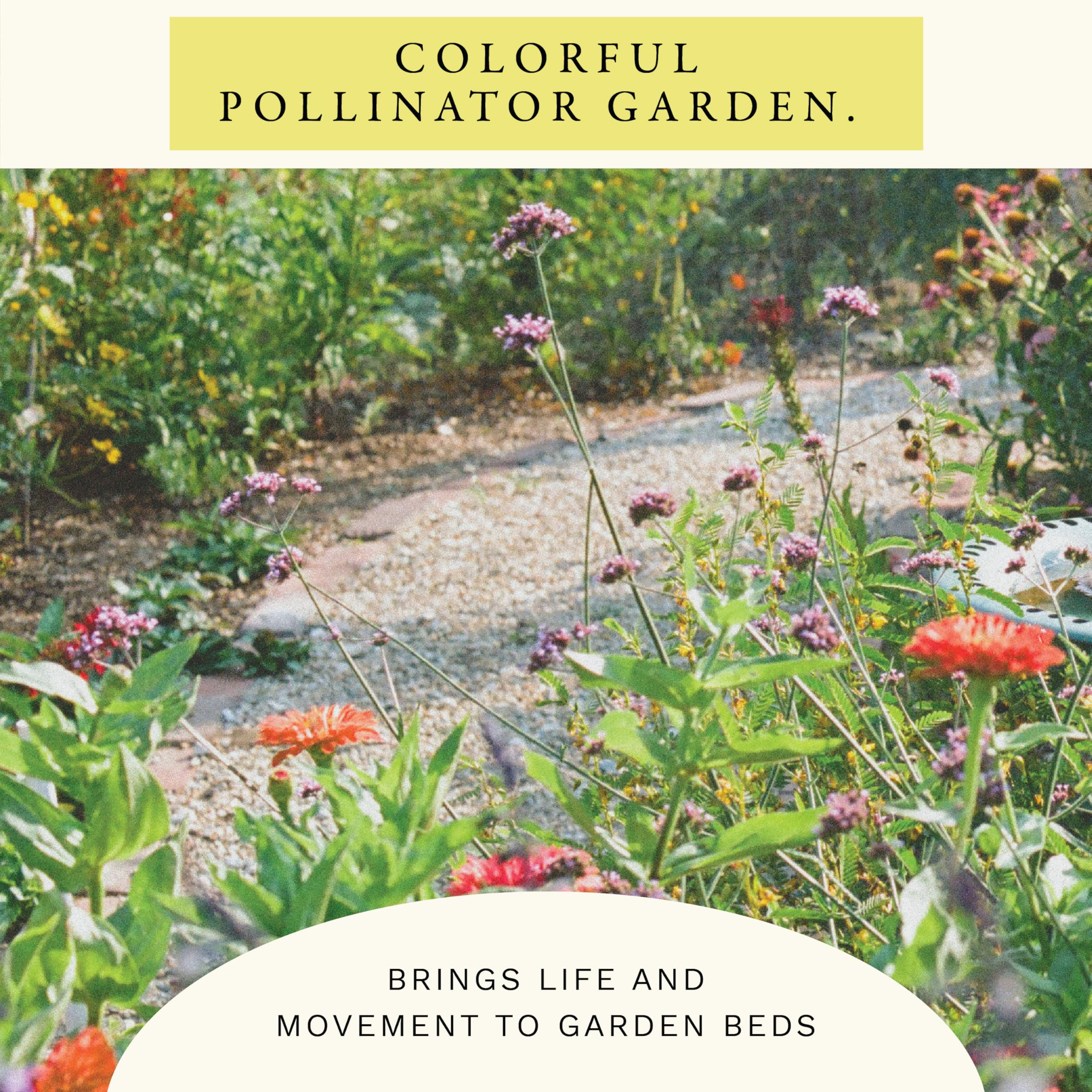Back of the Sereniseed Hummingbird Wildflower Mix Seeds pouch