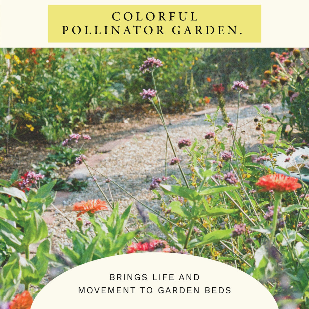 Back of the Sereniseed Hummingbird Wildflower Mix Seeds pouch