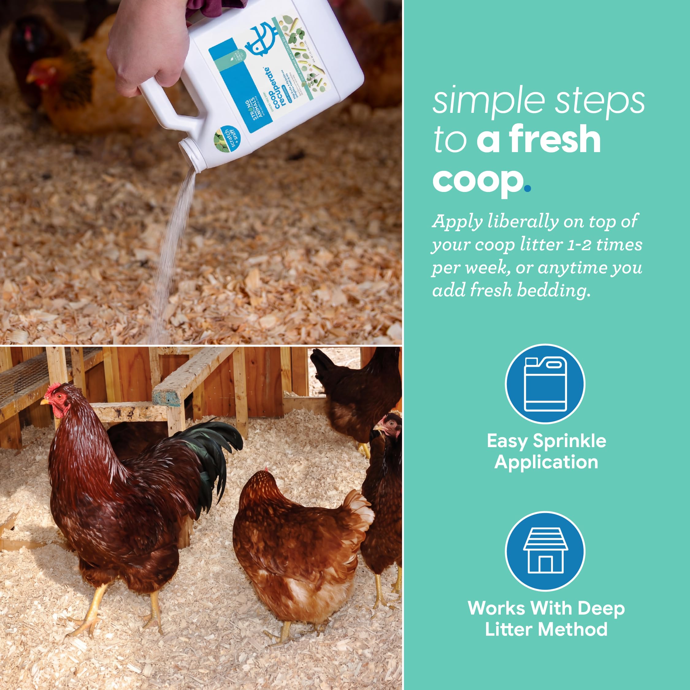 Back of the Strong Animals Coop Refresher jug with ingredient details