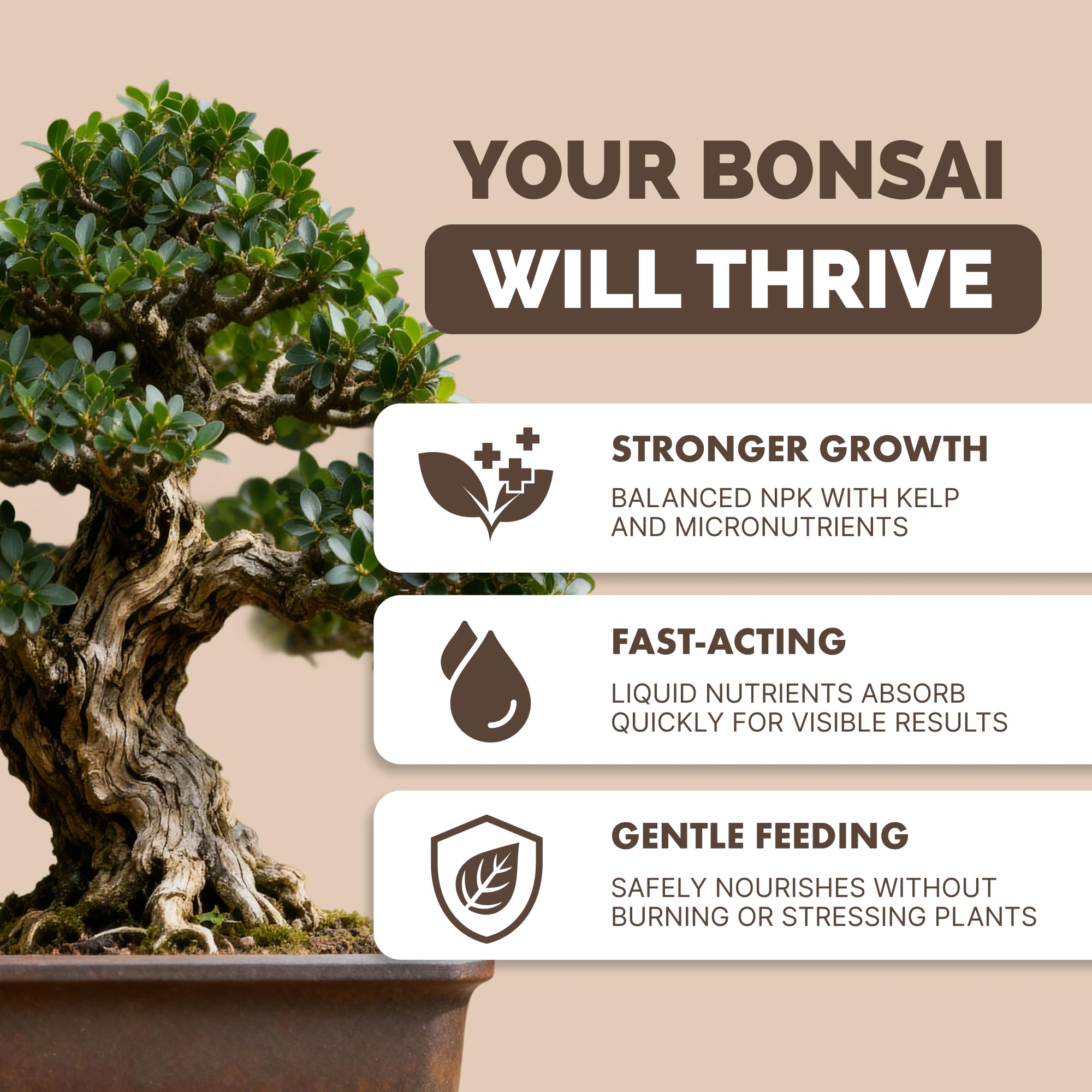 Back of TPS NUTRIENTS Bonsai Fertilizer showing ingredient details