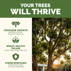 Back of TPS NUTRIENTS Tree Fertilizer 32oz bottle