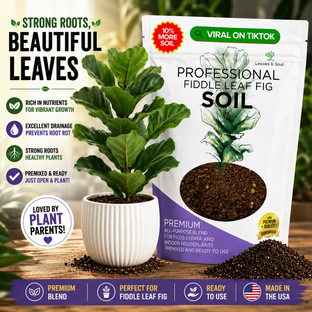 Back packaging of Leaves and Soul Fiddle Leaf Fig Soil Mix