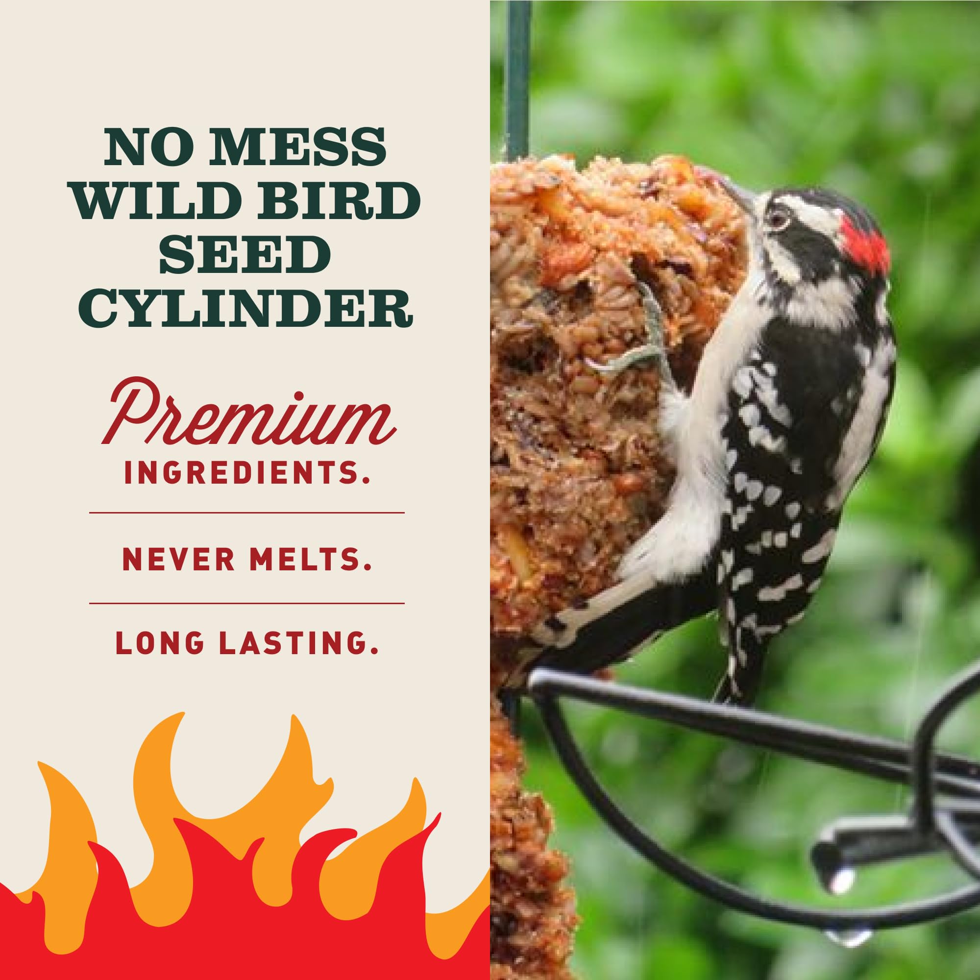 Back packaging of Mr. Bird Flaming Hot Feast Bird Seed