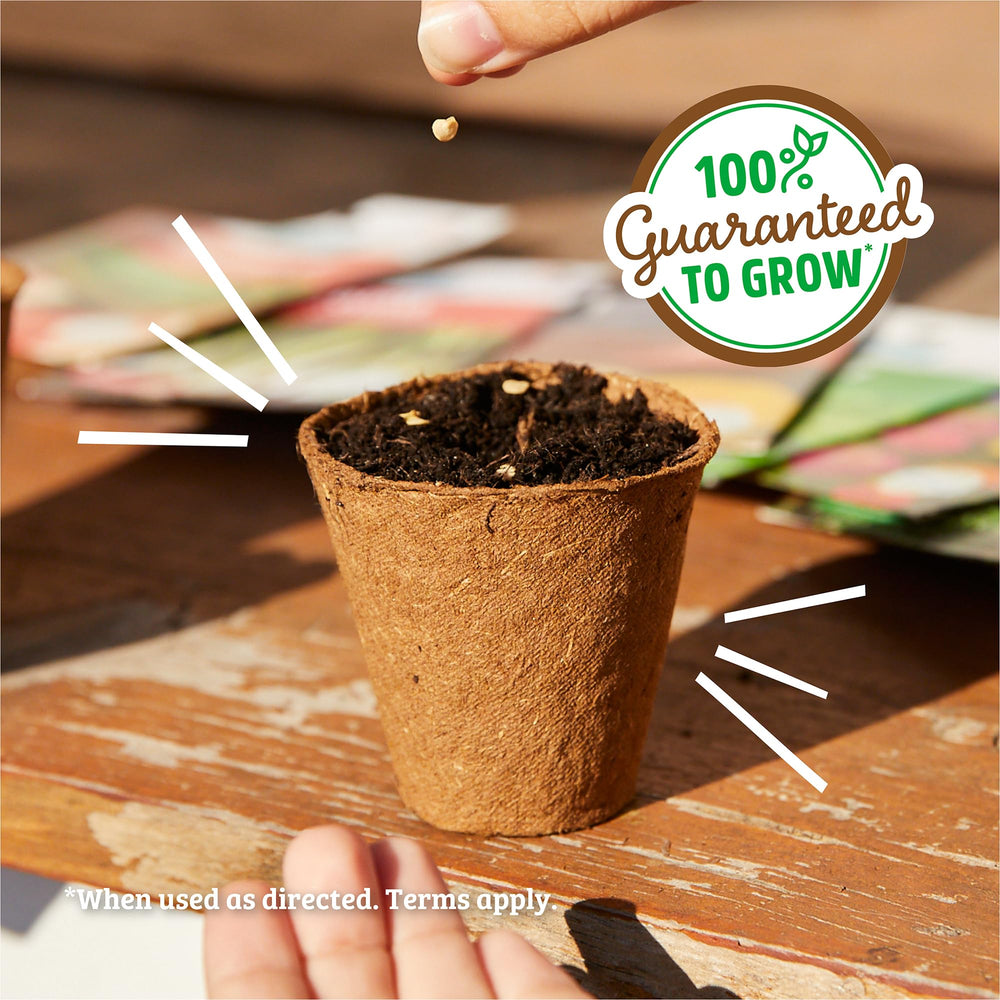 Back to the Roots flower seeds with gardening tools