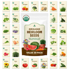 Back to the Roots Heirloom Rescued Seeds Variety Pack front view