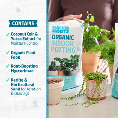 Back to the Roots Indoor Potting Mix being used with houseplants