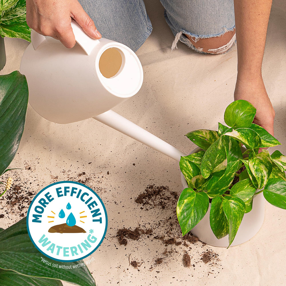 Back to the Roots Indoor Potting Mix with plants growing in it