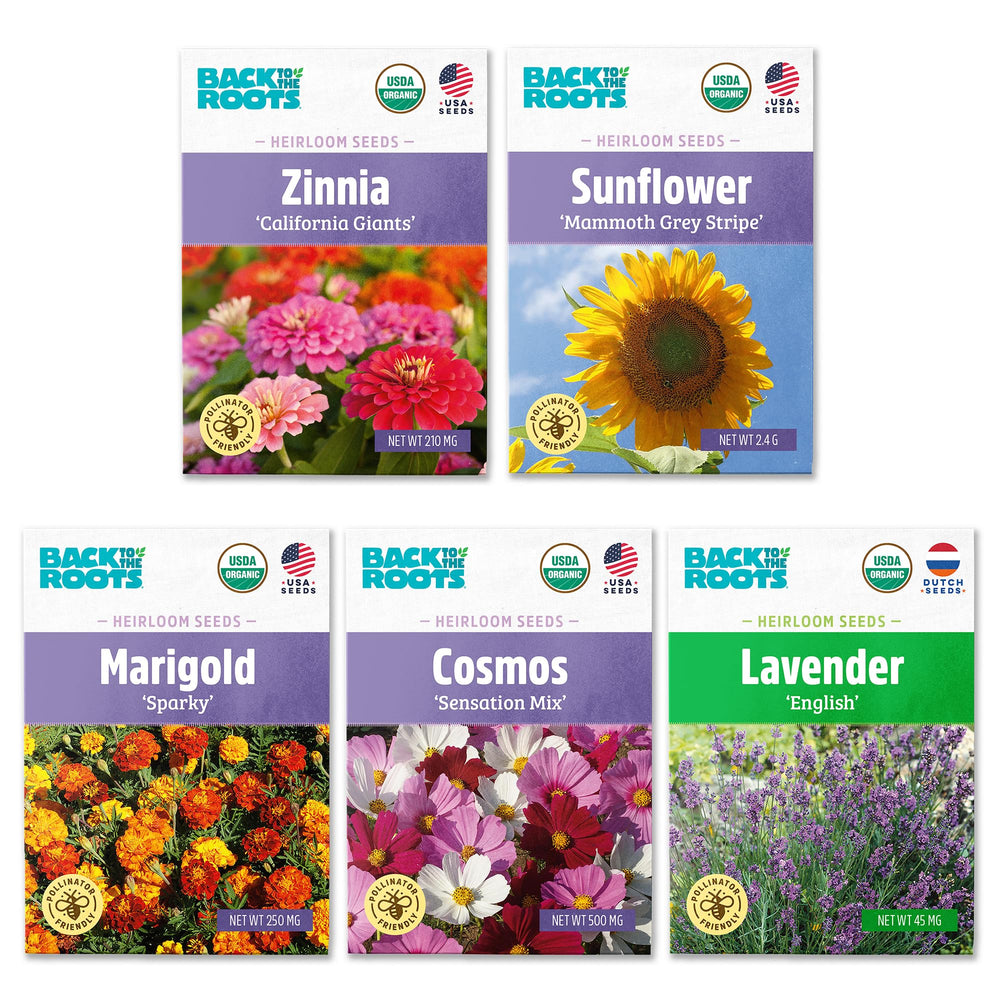 Back to the Roots Organic Flower Seeds Variety Pack front view