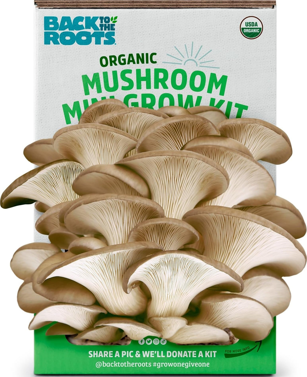 Back to the Roots Organic Mini Mushroom Grow Kit front view