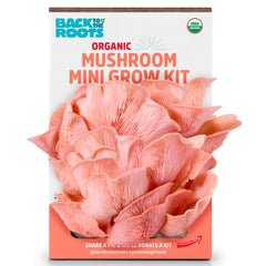 Back to the Roots Organic Pink Miniature Mushroom Grow Kit front view
