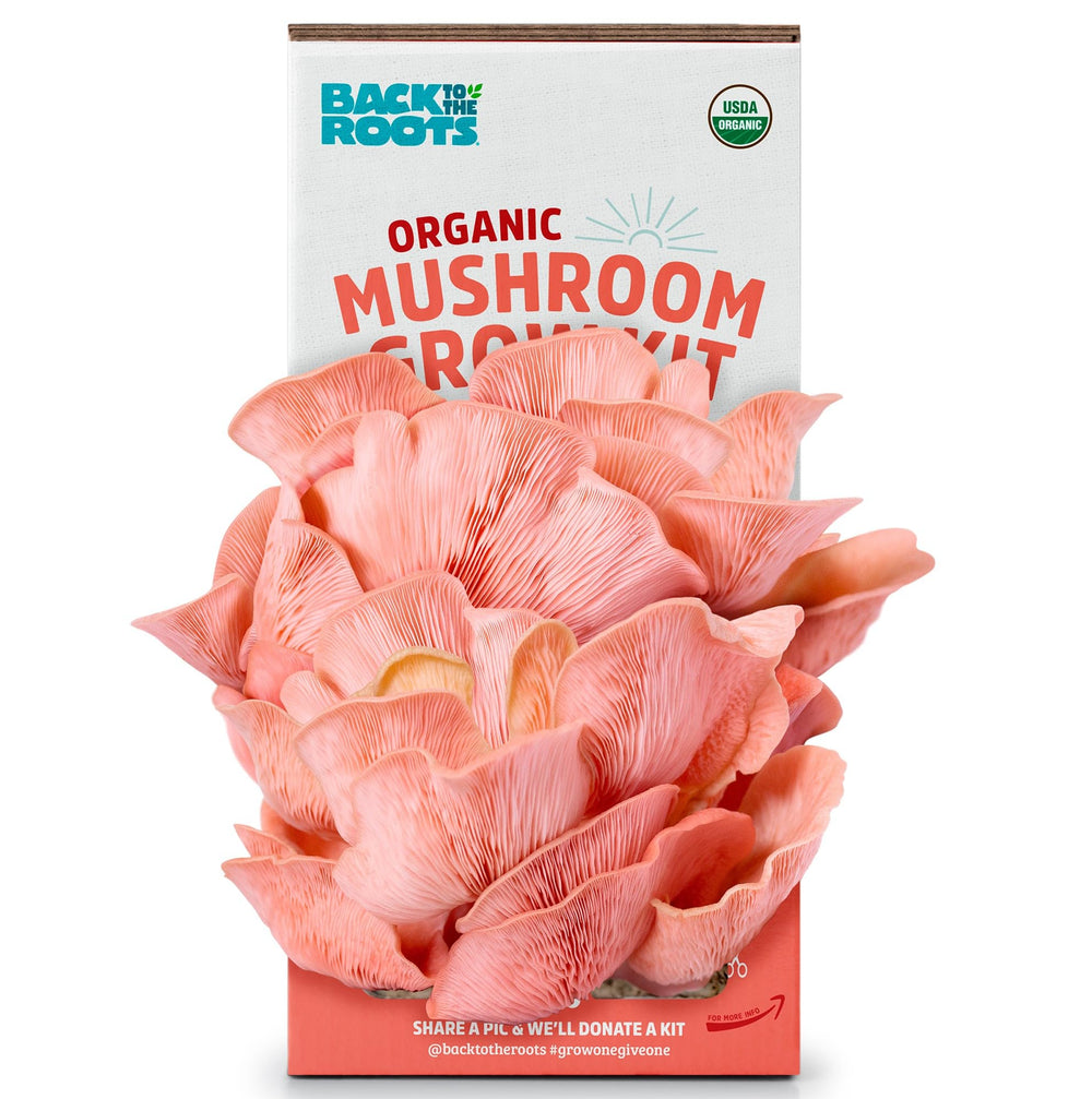 Back to the Roots Organic Pink Mushroom Grow Kit front view