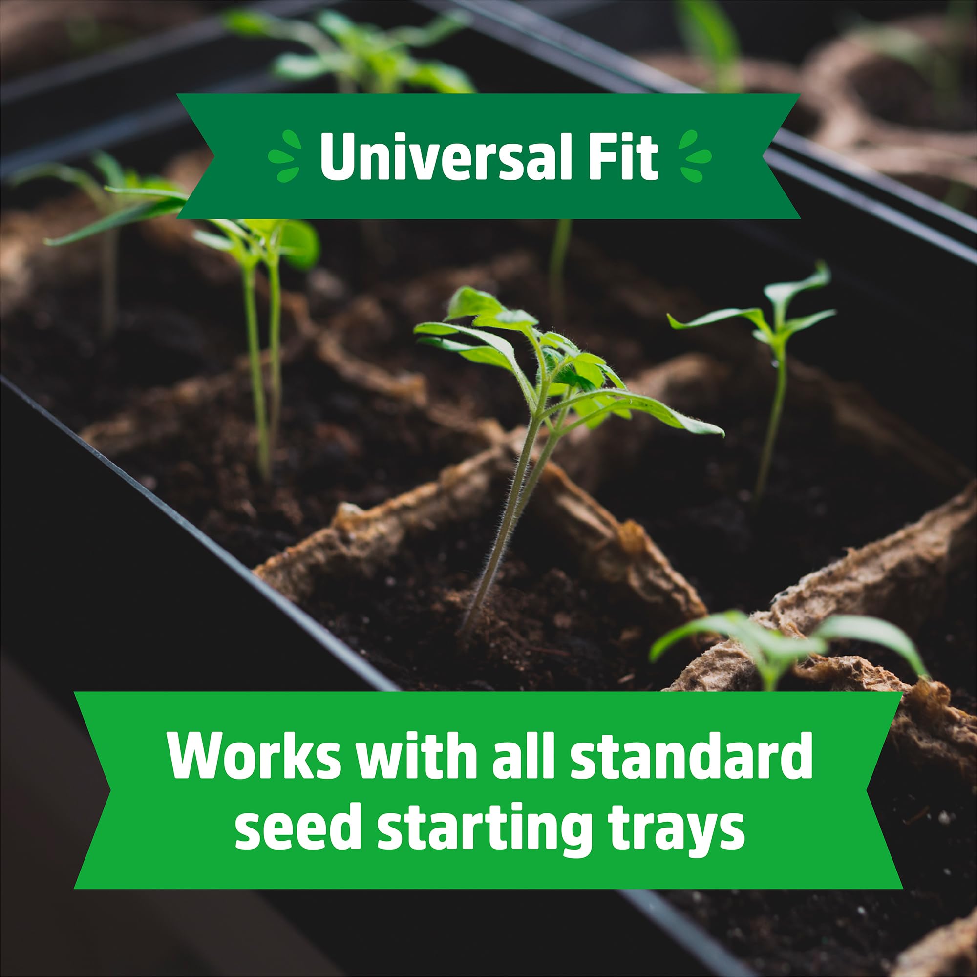 Back to the Roots packaging for seed starter trays