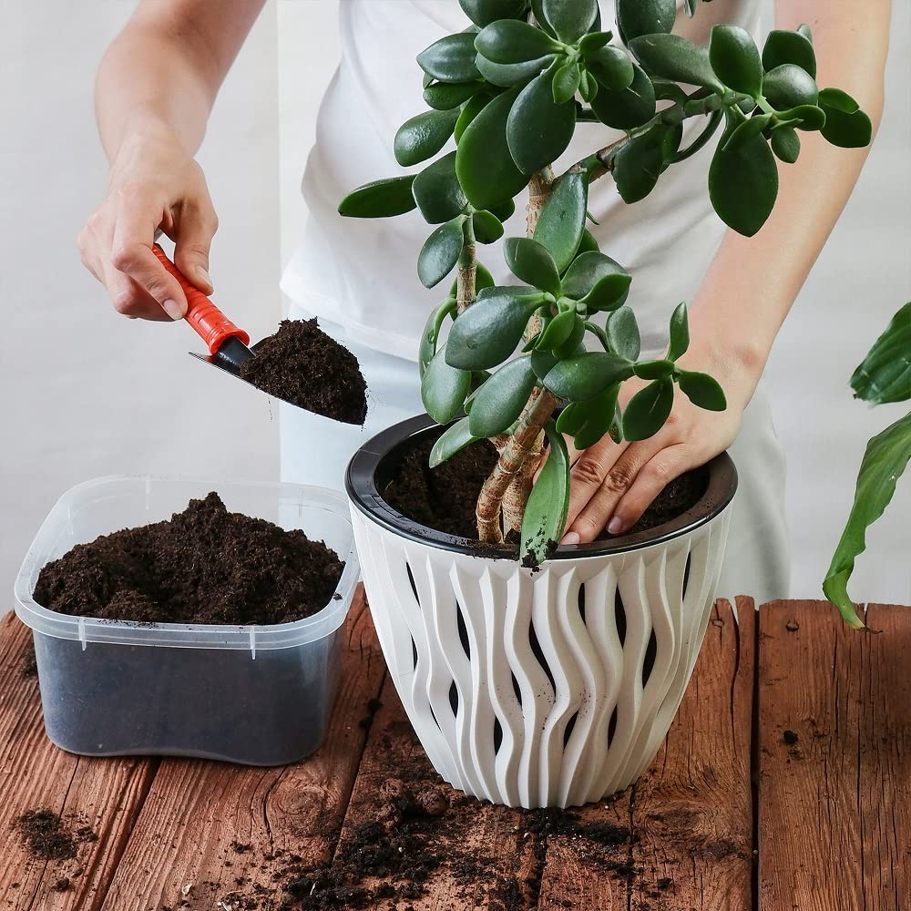 Back to the Roots Potting Mix in a gardening setup