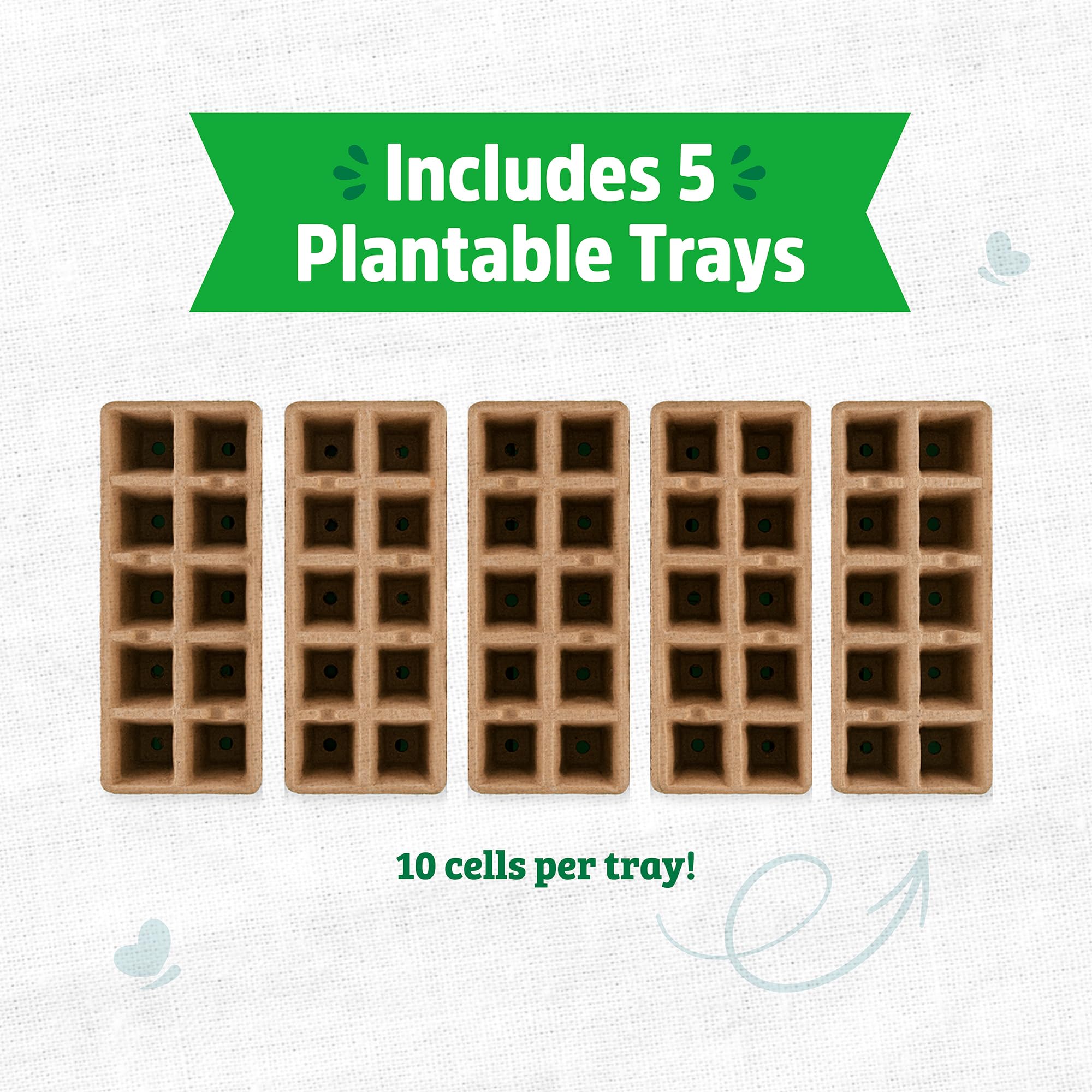 Back to the Roots seed starter trays with seeds planted