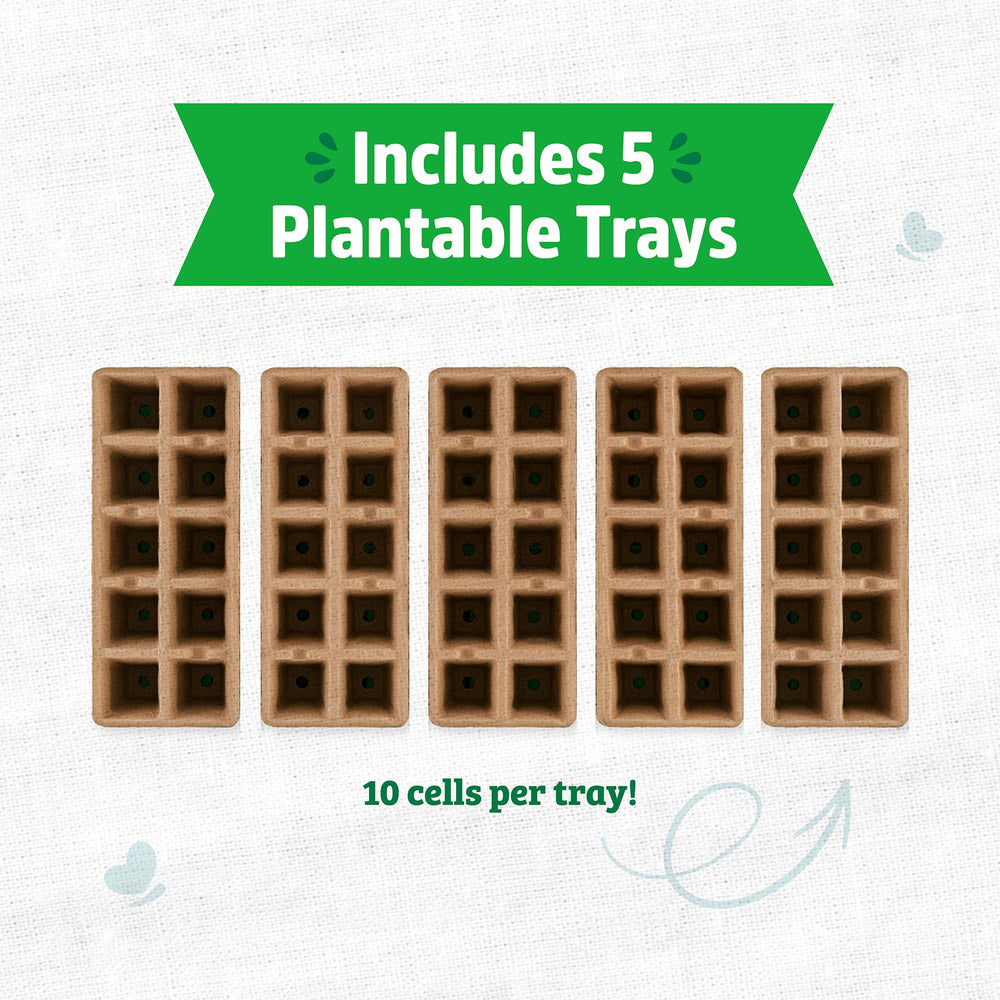 Back to the Roots seed starter trays with seeds planted
