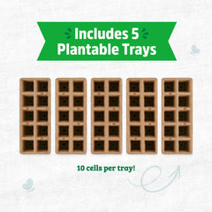 Back to the Roots seed starter trays with seeds planted