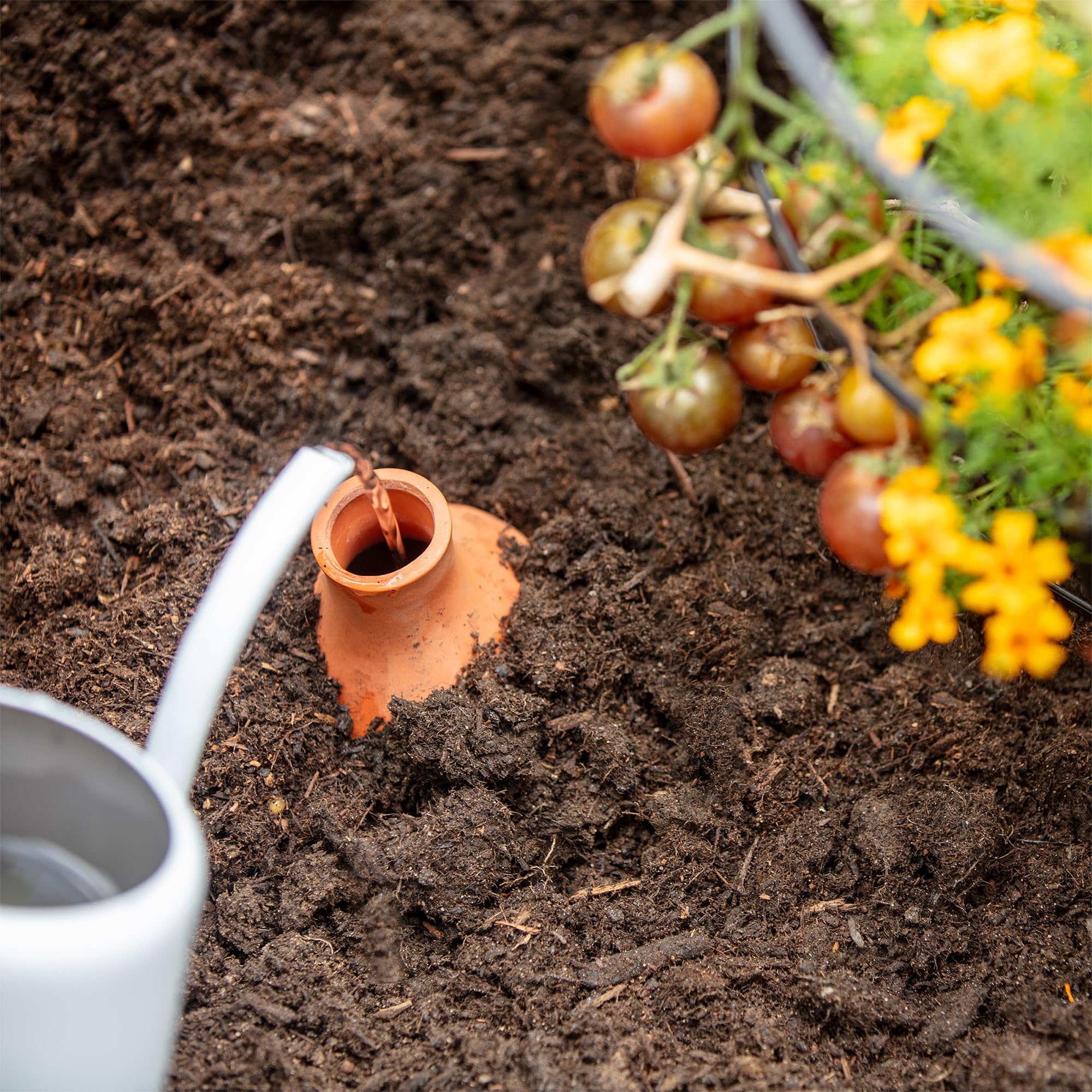 Back to the Roots Self-Watering Olla Pot filled with water