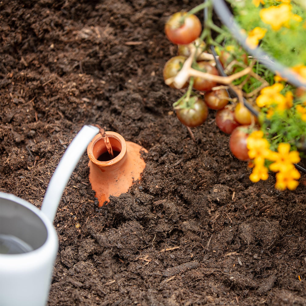 Back to the Roots Self-Watering Olla Pot filled with water