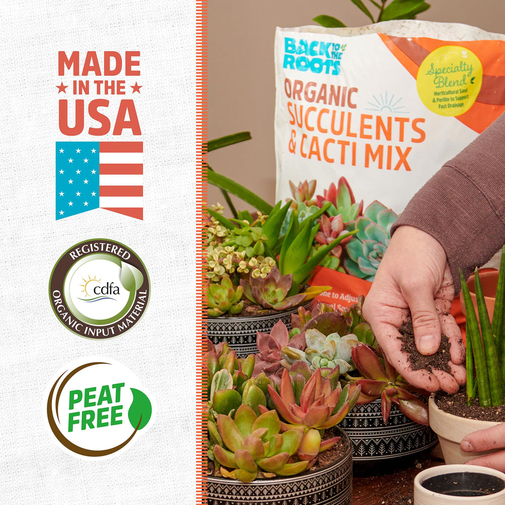 Back to the Roots Succulent & Cacti Mix packaging back view