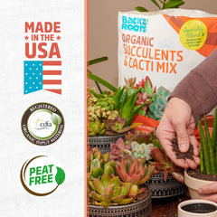 Back to the Roots Succulent & Cacti Mix packaging back view