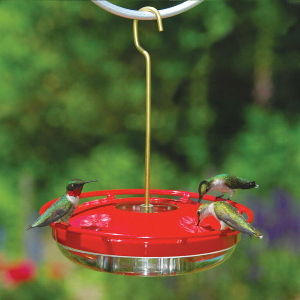 Back view of Aspects HummZinger HighView feeder with ant moat