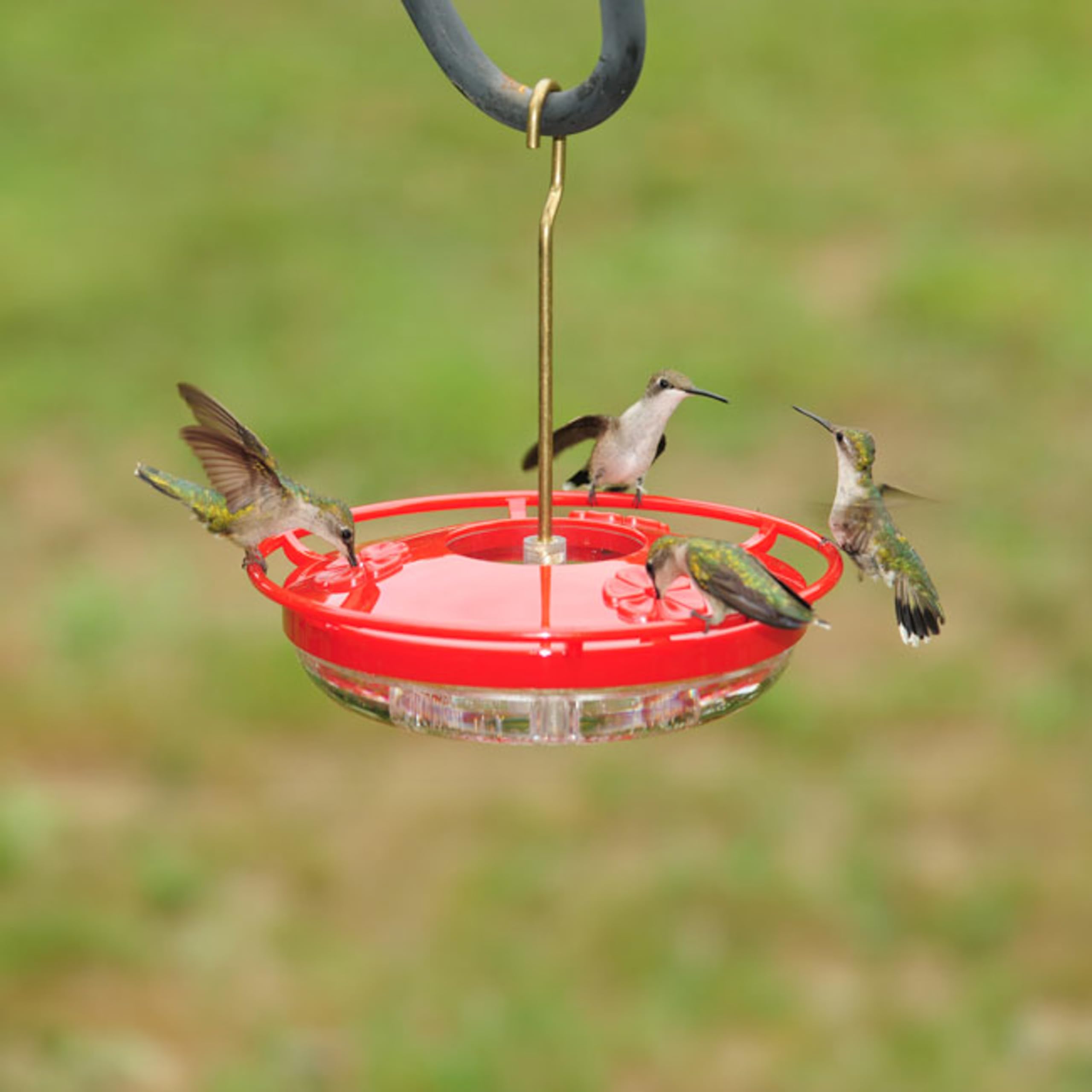 Back view of Aspects Hummzinger Mini Hummingbird Feeder