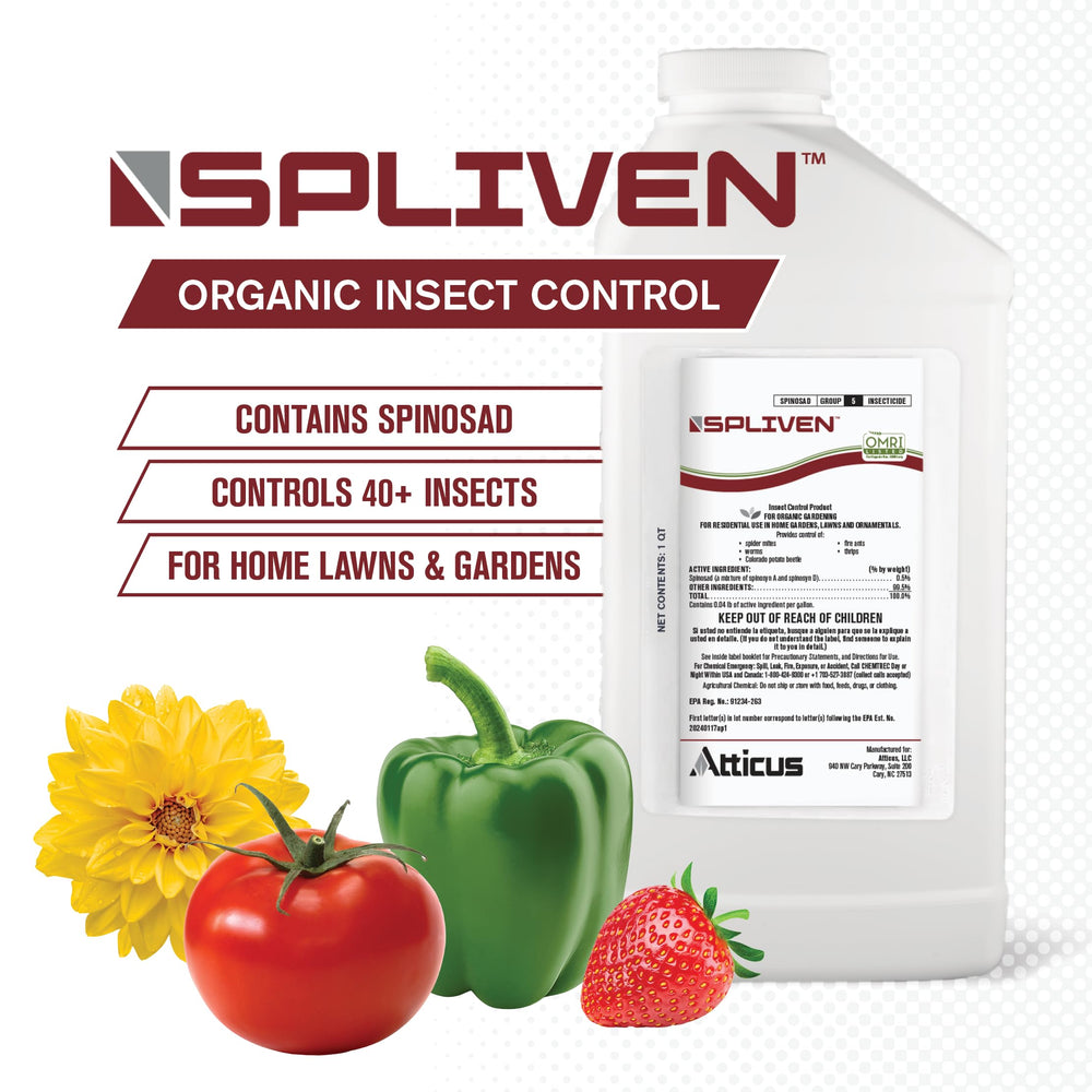 Back view of Atticus Spliven Insecticide bottle with label instructions