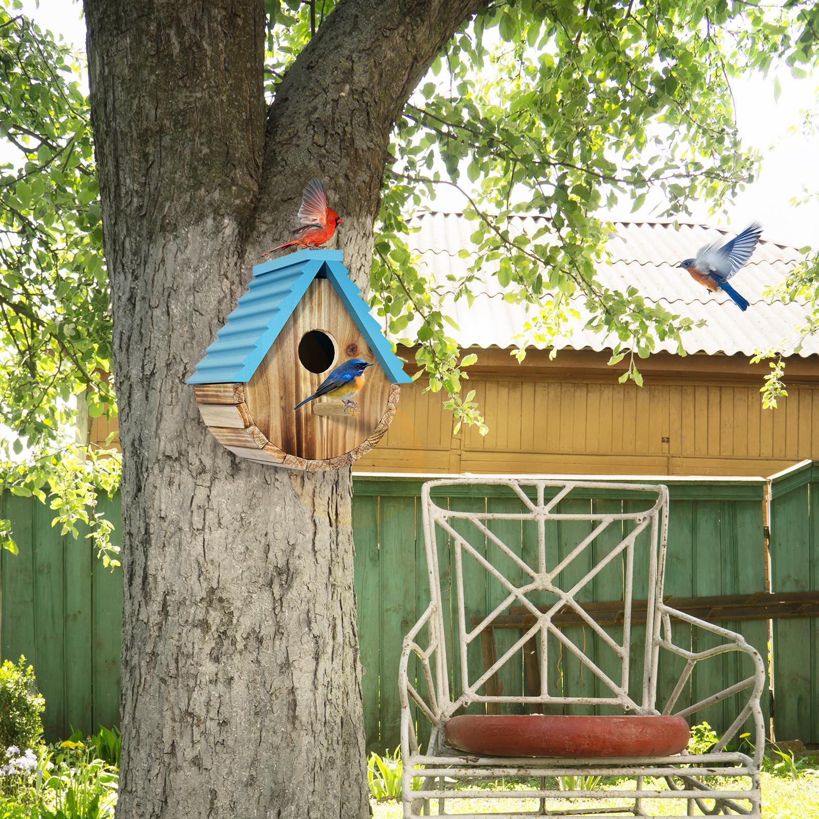 Back view of Auslar bird house with swivel door for easy cleaning