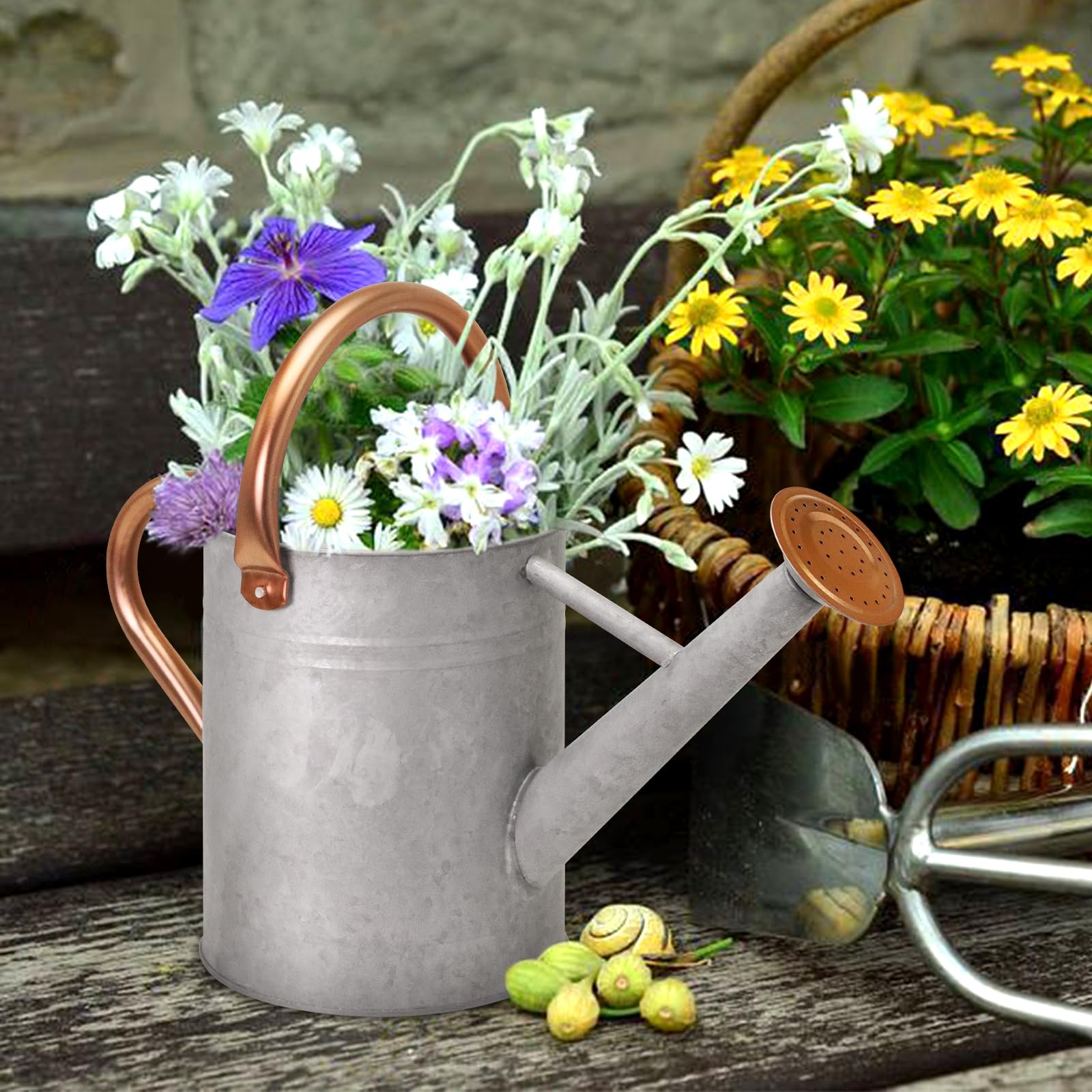 Back view of Ausluru 1 Gallon Watering Can
