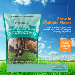 Back view of Barenbrug Free Range GroundCover seed packaging
