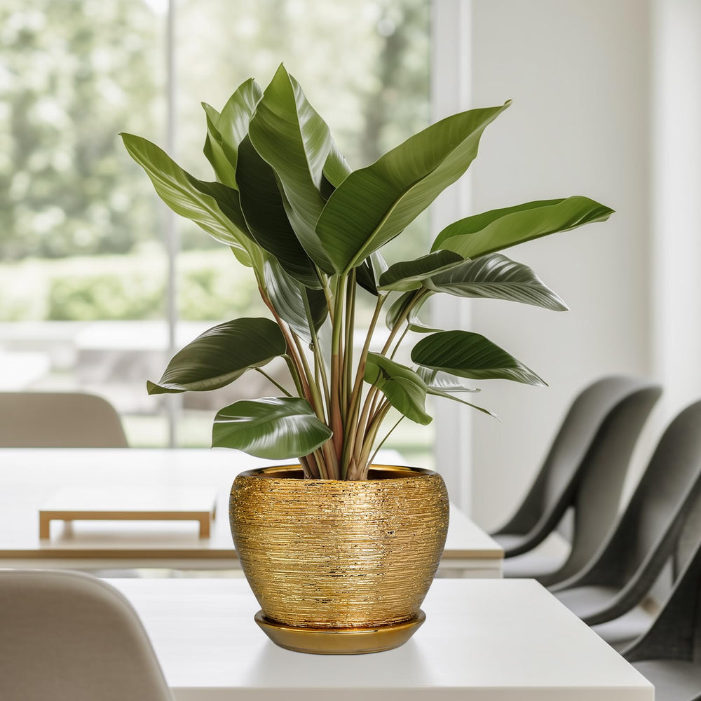 Back view of Ceramicfor 6 Inch Indoor Plant Pot