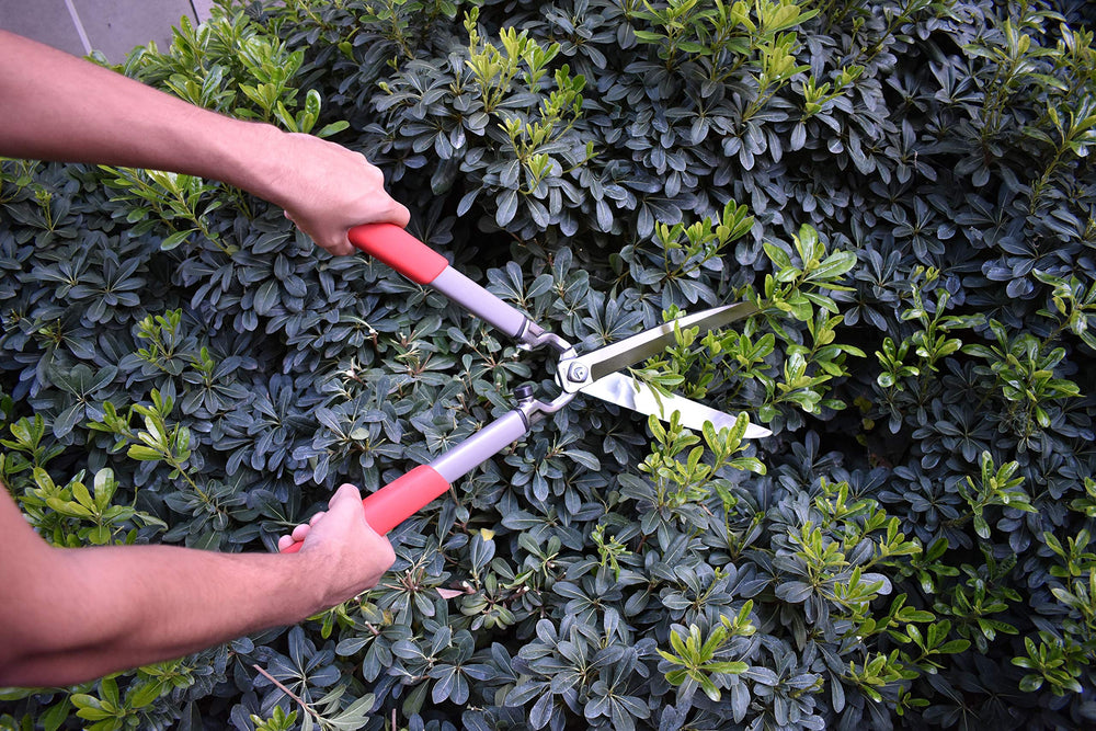 Back view of Corona Clipper hedge shears showcasing lightweight design