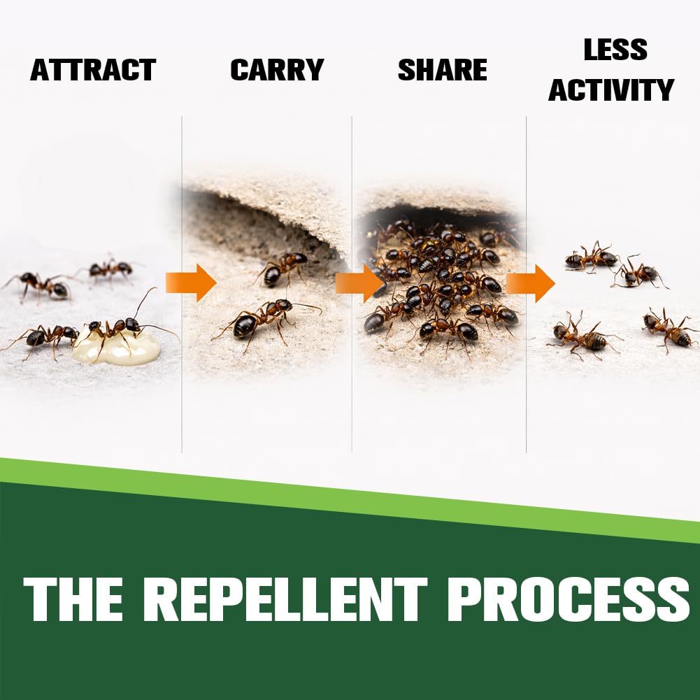 Back view of CVKDGJD Ant Repellent packaging
