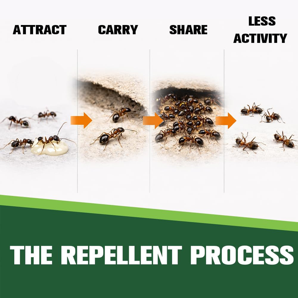 Back view of CVKDGJD Ant Repellent packaging
