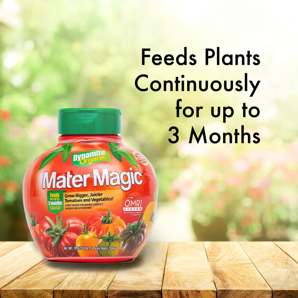 Back view of Dynamite Mater Magic Organic Tomato Fertilizer container