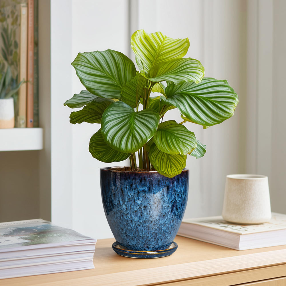Back view of EPFamily Ceramic Pot with drainage net