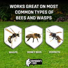 Back view of Exterminators Choice Bee Spray can showing ingredients