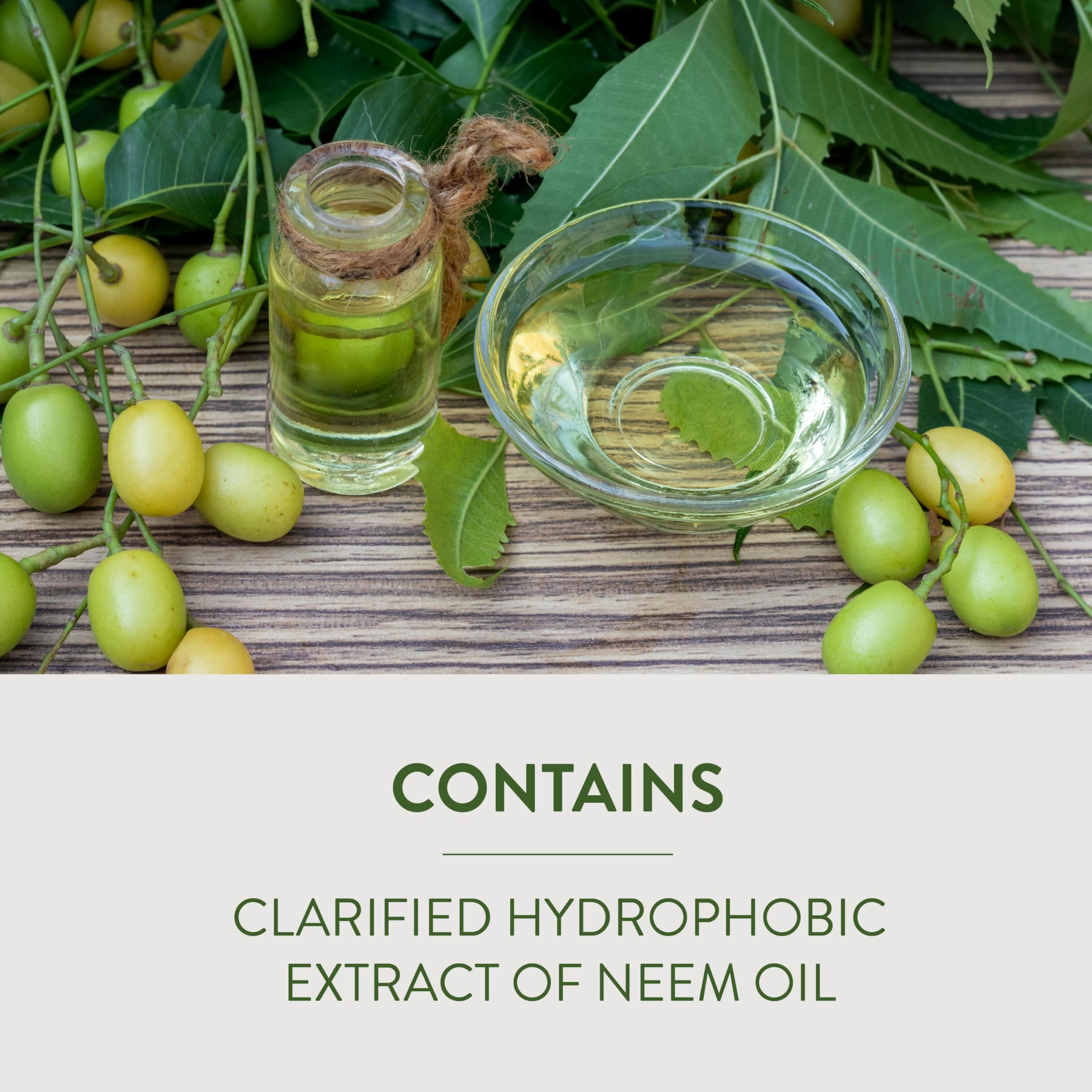 Back view of Garden Safe Fungicide3 Neem Oil bottle