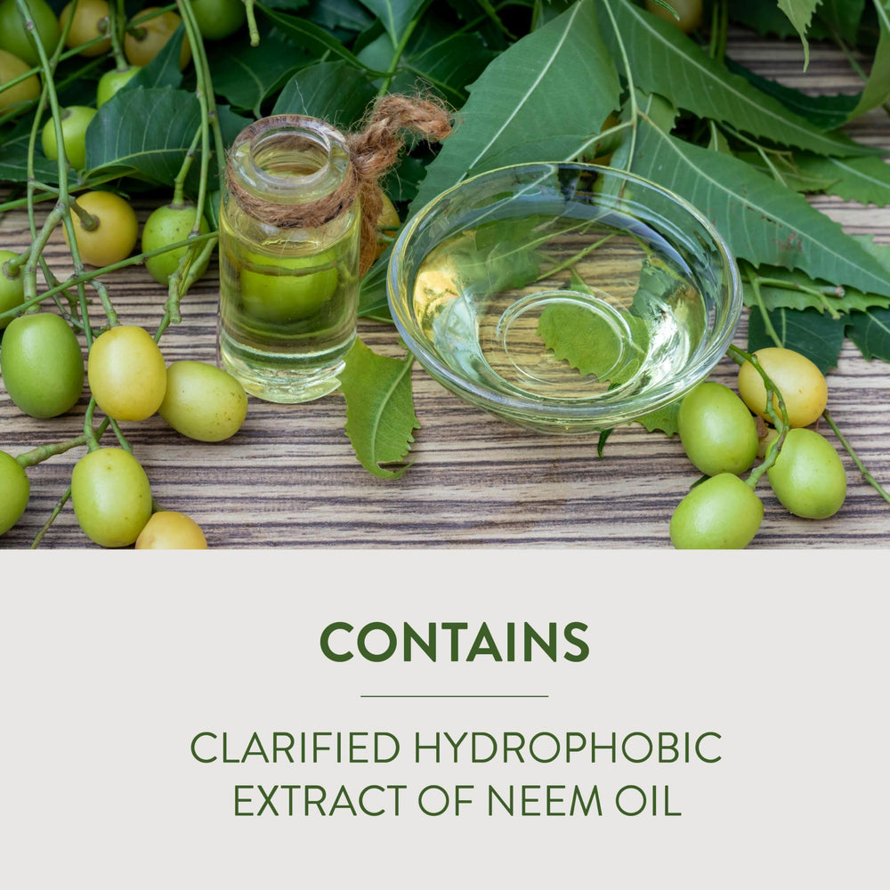 Back view of Garden Safe Fungicide3 Neem Oil bottle