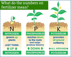 Back view of Gardenera 8-10-10 Fertilizer packaging