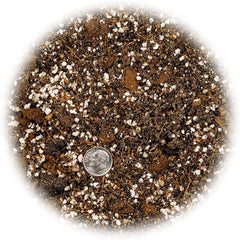 Back view of Gardenera Spider Plant Potting Soil Mix bag
