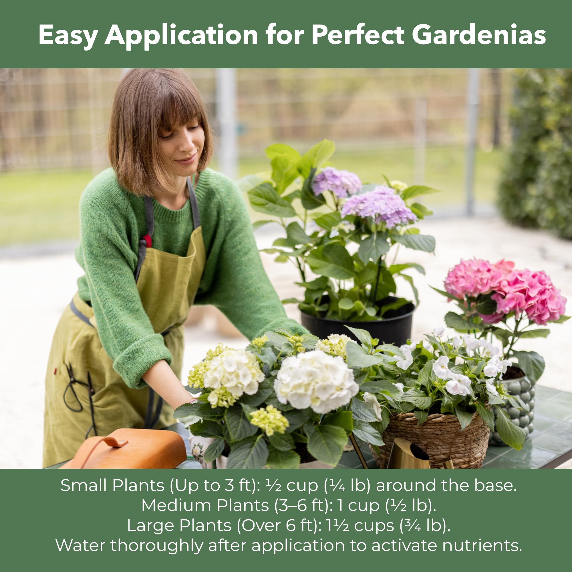 Back view of GARDENWISE Slow Release Fertilizer package