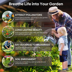 Back view of Groundio wildflower seeds package with planting instructions