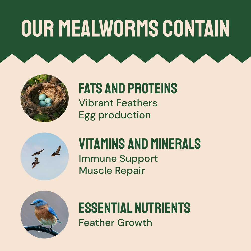 Back view of Hatortempt mealworms resealable packaging