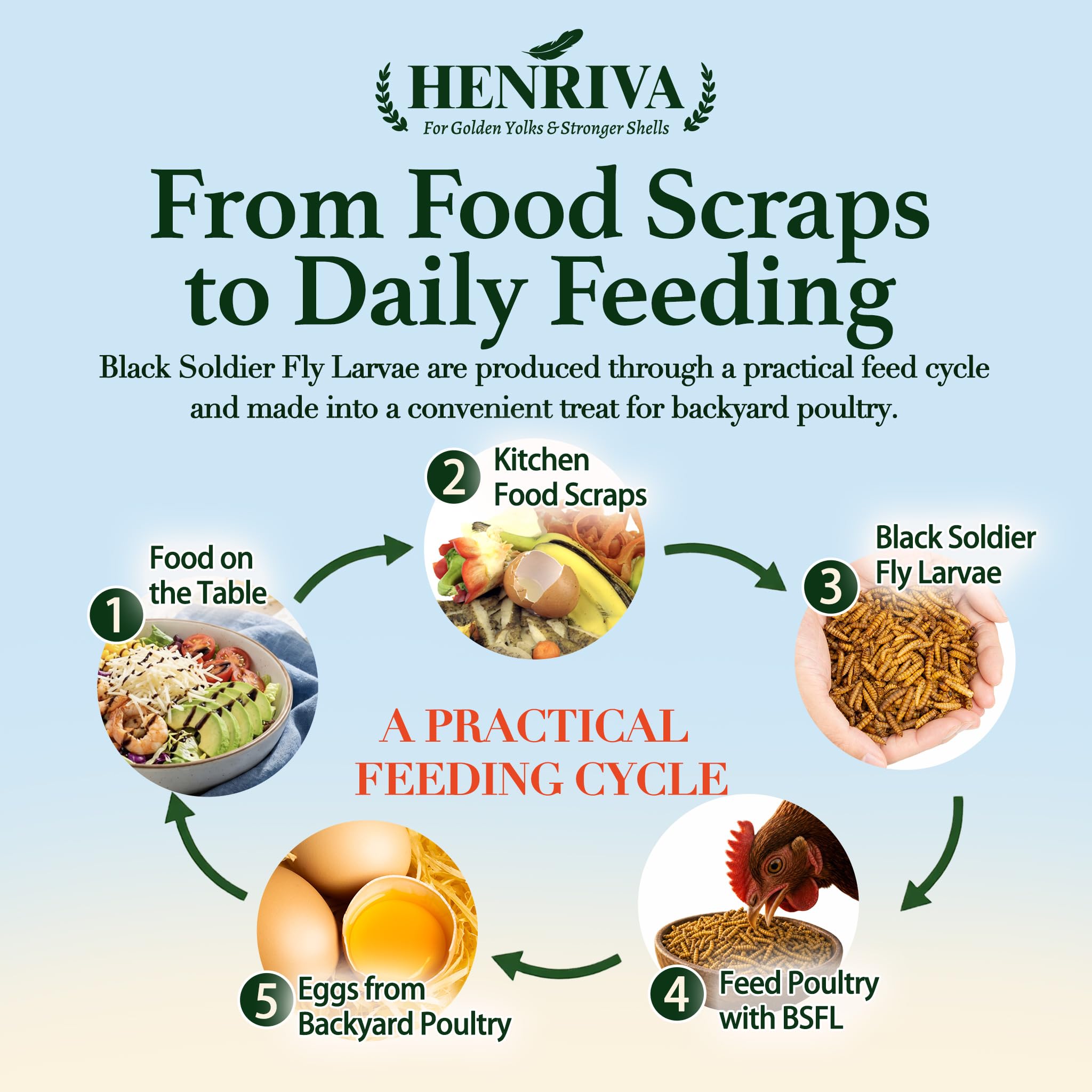Back view of henriva 10LB bag with nutritional information