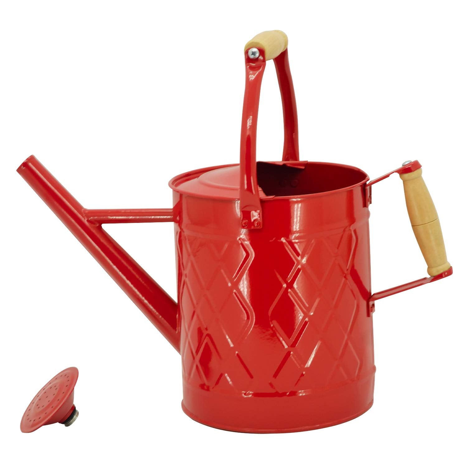 Back view of HORTICAN Red Metal Watering Can