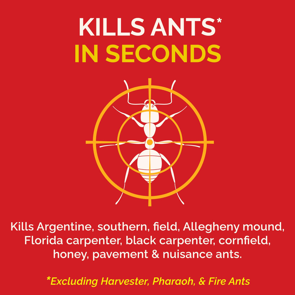 Back view of HOT SHOT Ant Killer Plus can with label details