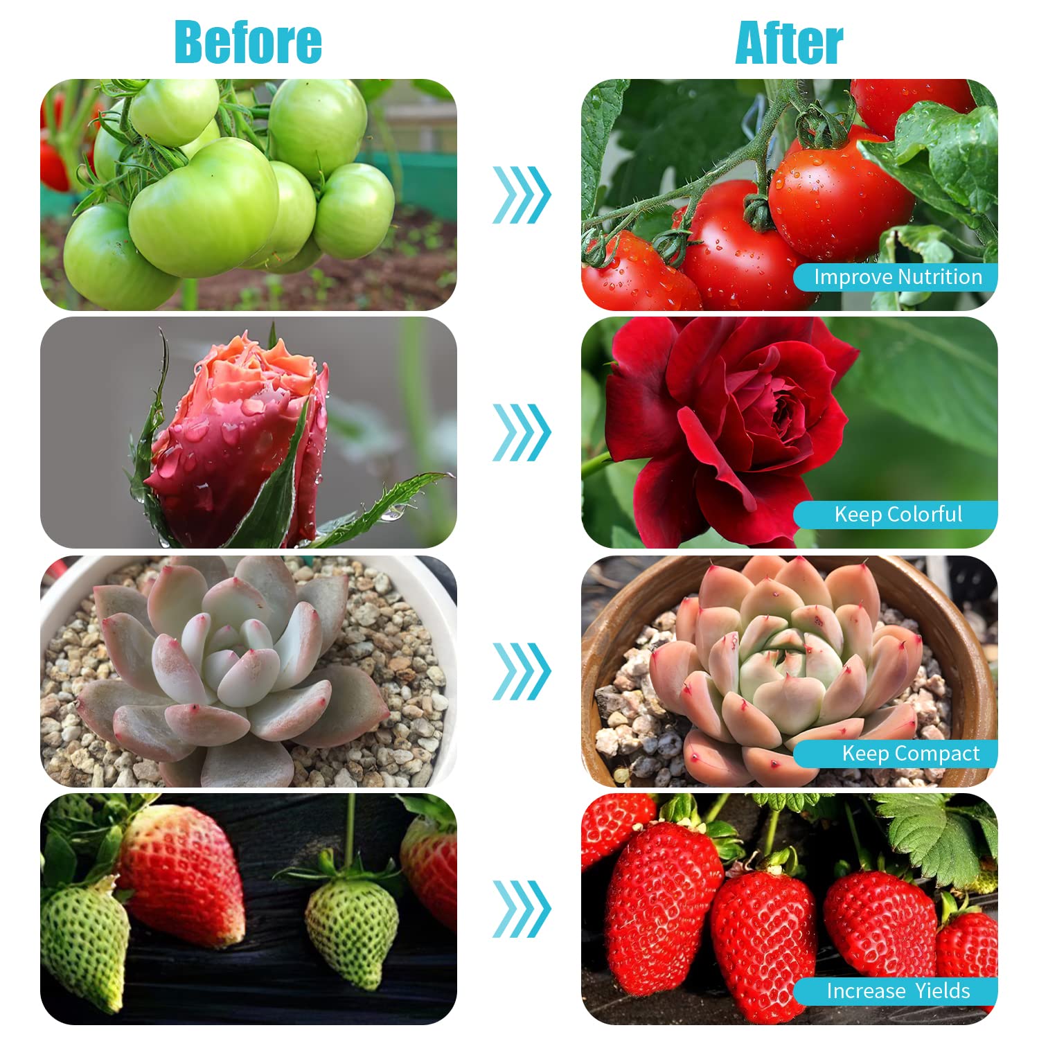 Back view of Hywyimlait Black Grow Light with clips