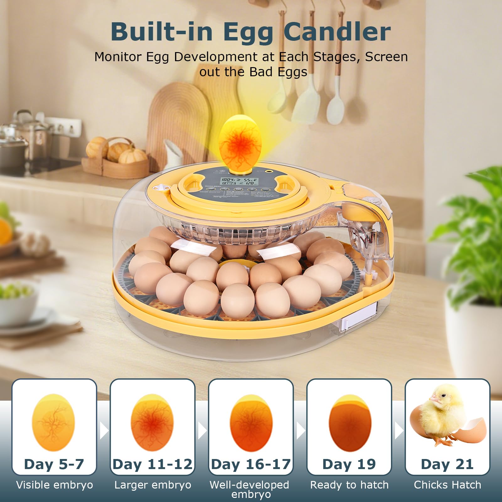 back view of innhom Egg Incubator